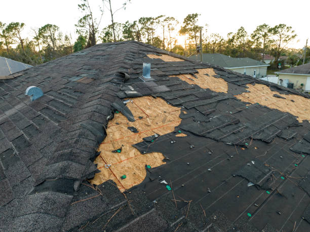  Kennesaw State University, GA Roofing Service Pros